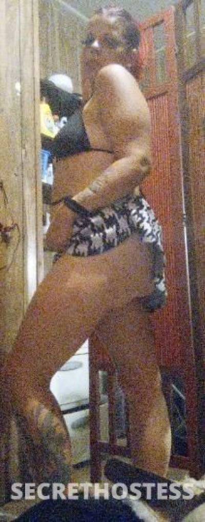 37Yrs Old Escort Tampa FL Image - 2