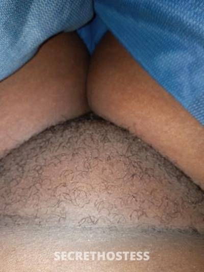 41Yrs Old Escort Miami FL Image - 0