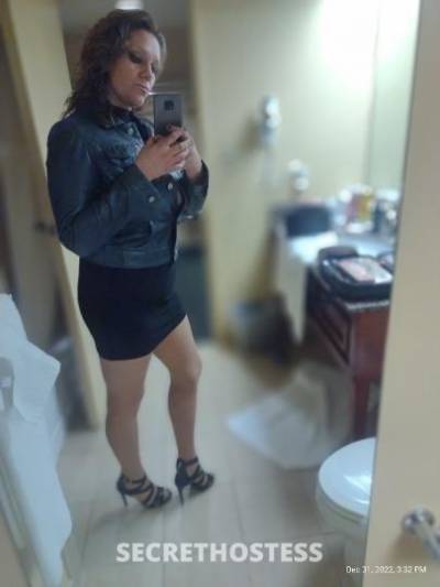 41Yrs Old Escort Sarasota FL Image - 2