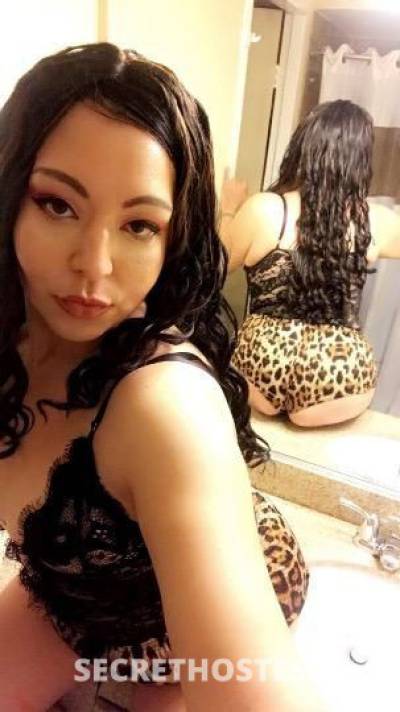 Cindy 28Yrs Old Escort San Francisco CA Image - 0