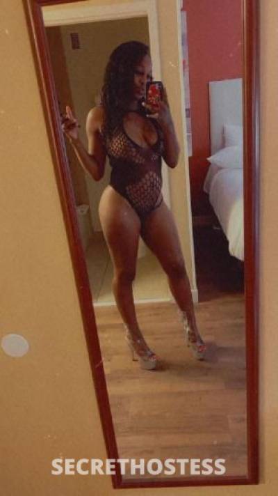 23 year old American Escort in Savannah GA Midtown savannah available now new cali girl in town craving