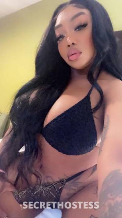 Llola 24Yrs Old Escort San Jose CA Image - 2