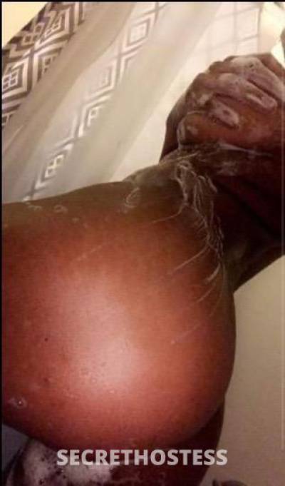 22Yrs Old Escort Fort Lauderdale FL Image - 3