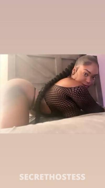 24Yrs Old Escort Los Angeles CA Image - 1