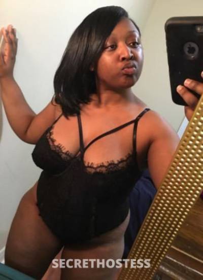 25Yrs Old Escort Tampa FL Image - 0