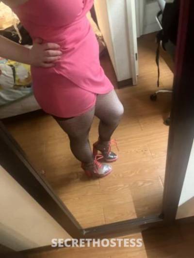 27Yrs Old Escort Chicago IL Image - 2