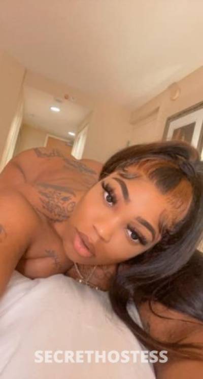 28 year old Escort in West Palm Beach FL Incall or outcall