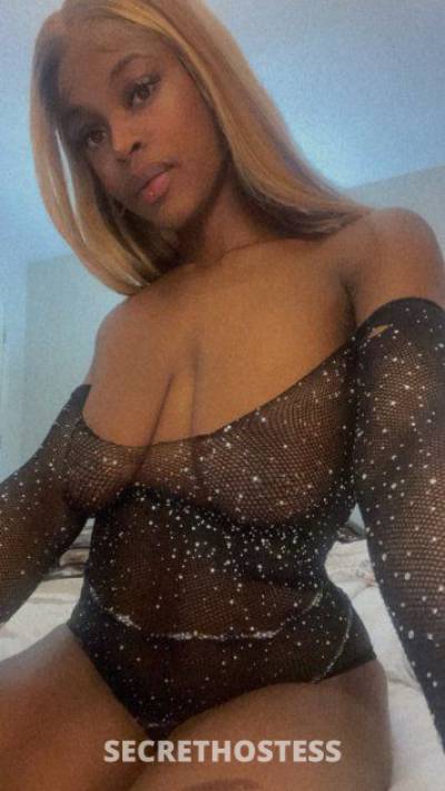 Gigi 23Yrs Old Escort 167CM Tall Tampa FL Image - 1