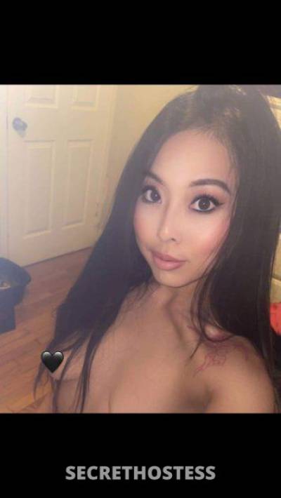 Heather 25Yrs Old Escort Tampa FL Image - 1