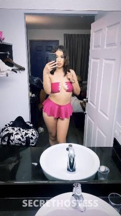 19Yrs Old Escort San Francisco CA Image - 1