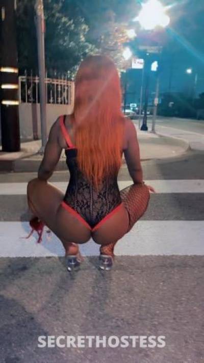 21Yrs Old Escort Fort Lauderdale FL Image - 0