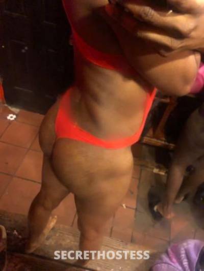 24Yrs Old Escort Bronx NY Image - 2