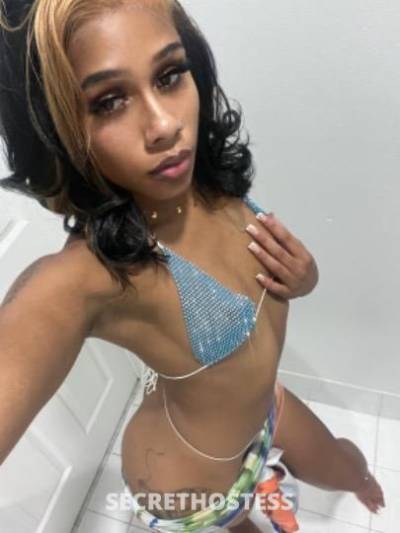 25Yrs Old Escort Toledo OH Image - 3