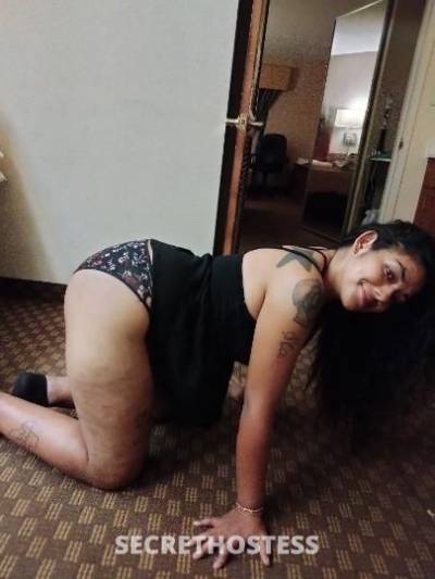 27Yrs Old Escort San Antonio TX Image - 0