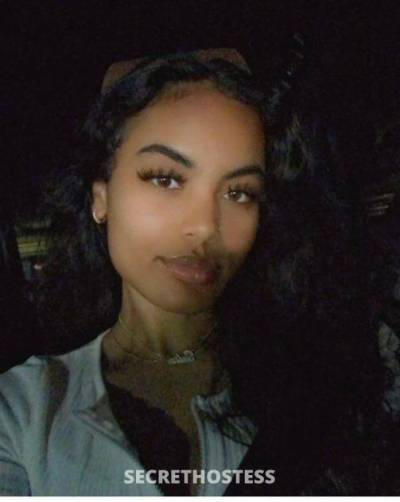 31 year old Middle Eastern Escort in San Fernando Valley CA Sweet Little Miss