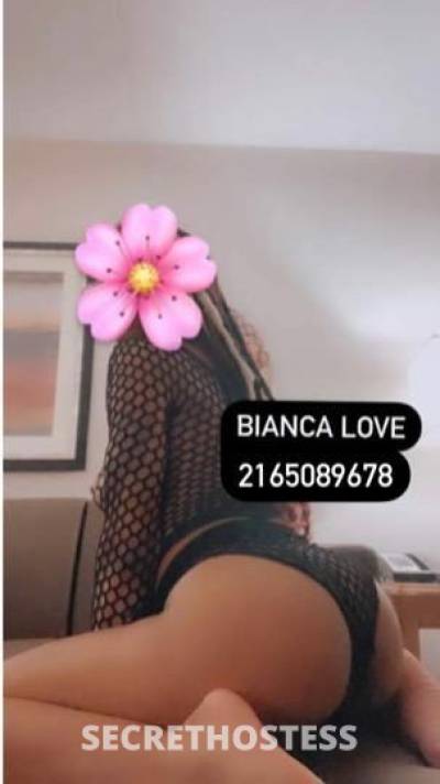 Bianca 24Yrs Old Escort Cleveland OH Image - 0