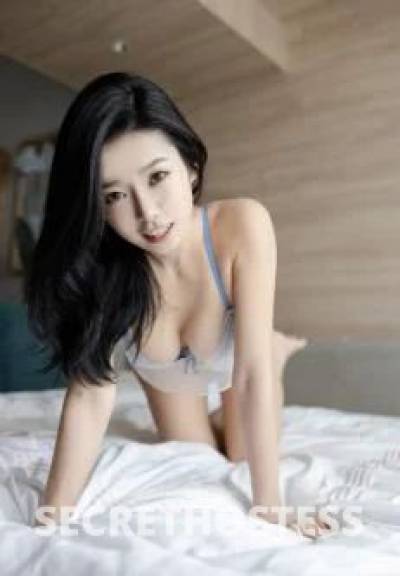 25Yrs Old Escort Size 8 Melbourne Image - 7