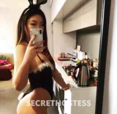 26Yrs Old Escort Size 8 Coffs Harbour Image - 4