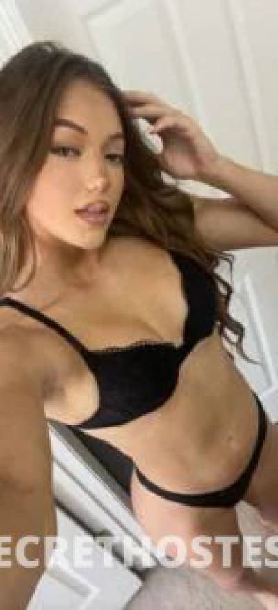 Tracy 24Yrs Old Escort Size 6 Cairns Image - 4
