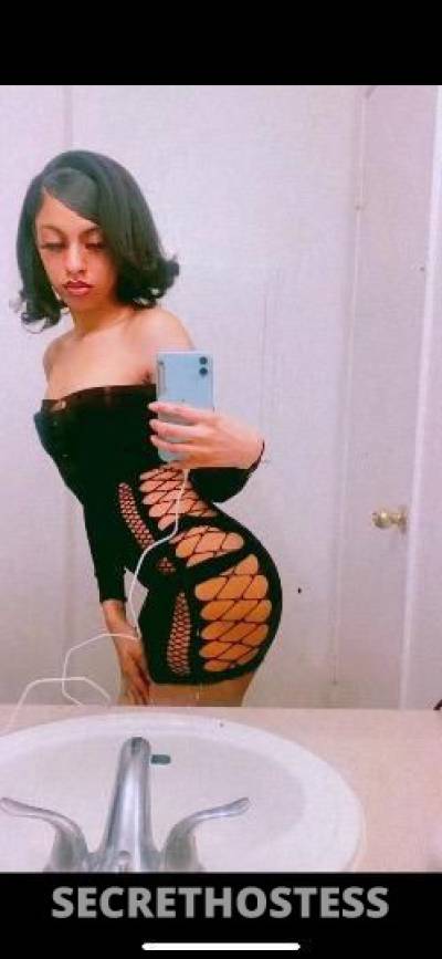 21Yrs Old Escort Los Angeles CA Image - 2