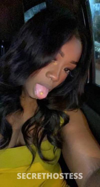 23Yrs Old Escort Dallas TX Image - 1