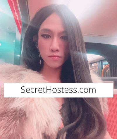 32 year old Thai Escort in Chippendale Sydney Videos