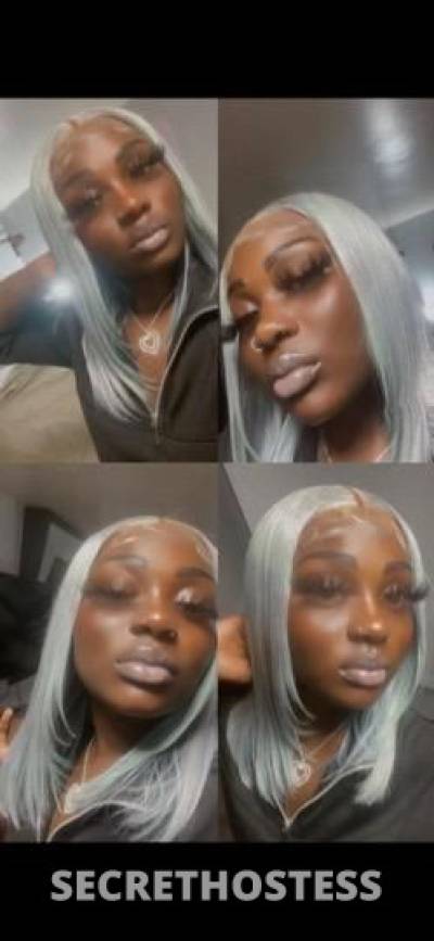 21Yrs Old Escort Tampa FL Image - 1