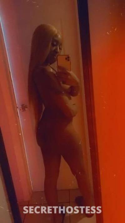 26Yrs Old Escort Miami FL Image - 2