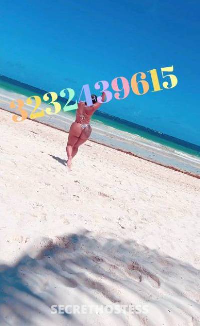 27Yrs Old Escort 157CM Tall Charlotte NC Image - 1