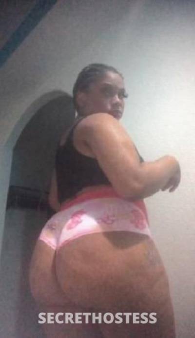 27Yrs Old Escort Los Angeles CA Image - 2