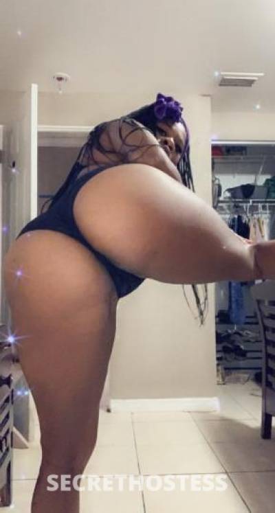 28Yrs Old Escort 170CM Tall Tampa FL Image - 2