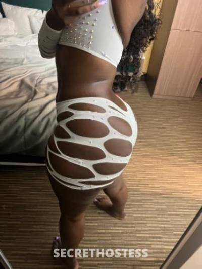 28Yrs Old Escort Jacksonville FL Image - 2