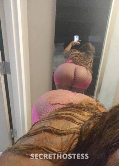 31 year old Escort in Panama City FL Sexy cutie lol