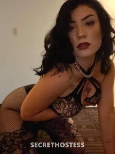 20Yrs Old Escort Knoxville TN Image - 4