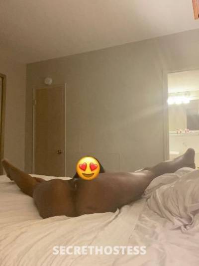 23Yrs Old Escort Bronx NY Image - 1