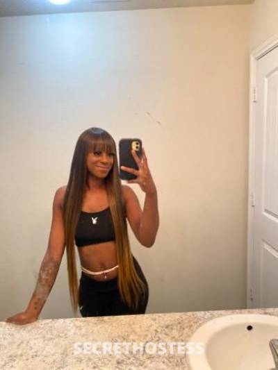 23Yrs Old Escort Houston TX Image - 1