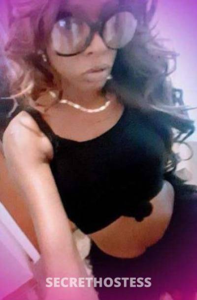 23Yrs Old Escort Orlando FL Image - 0