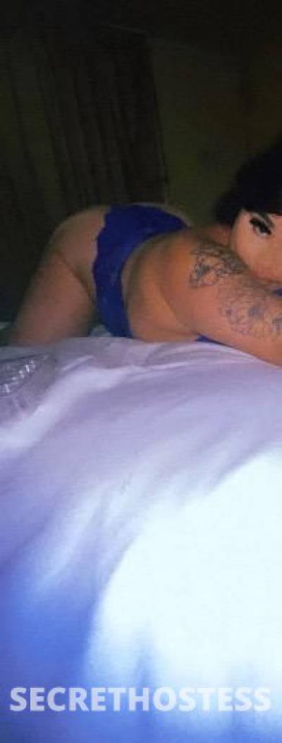 24Yrs Old Escort Tampa FL Image - 0