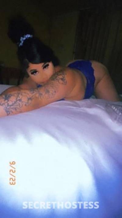 24Yrs Old Escort Tampa FL Image - 1