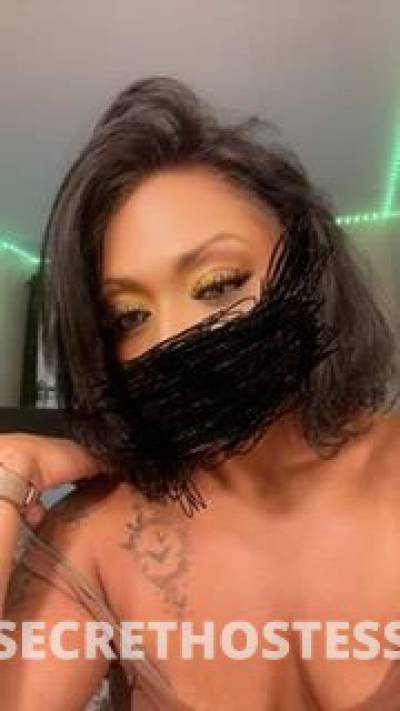 28 year old French Escort in Brooklyn NY Vanilla in Paris
