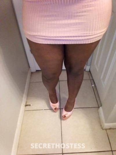 29Yrs Old Escort Tampa FL Image - 1