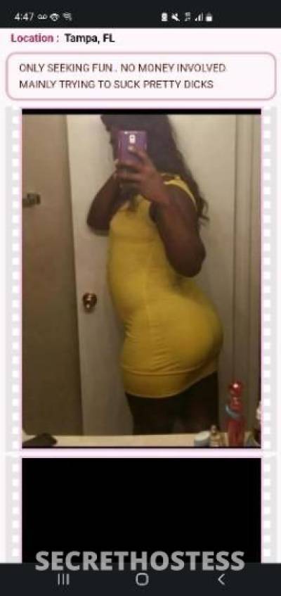 30Yrs Old Escort Tampa FL Image - 2