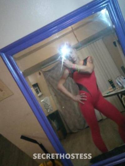 37Yrs Old Escort Toledo OH Image - 0