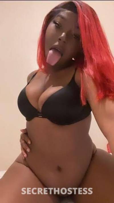 Amber 26Yrs Old Escort 160CM Tall Orlando FL Image - 0