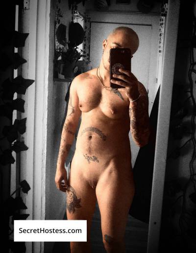 Justin Bronze 24Yrs Old Escort 57KG 168CM Tall Montreal Image - 2