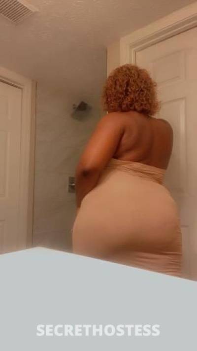 Kit 24Yrs Old Escort Bronx NY Image - 2