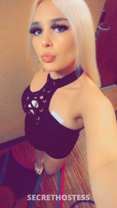 22Yrs Old Escort 157CM Tall Dallas TX Image - 2