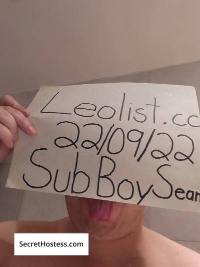 Sub Boy Sean 29Yrs Old Escort 82KG 173CM Tall North York Image - 13