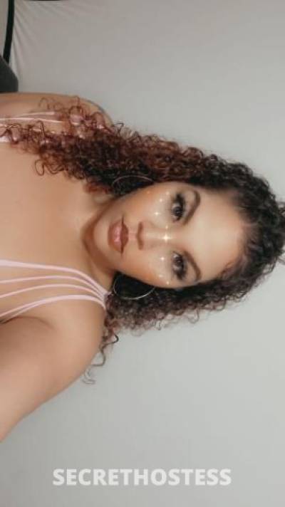 23 year old Latino Escort in Dallas TX Sexy latina back in carrollton