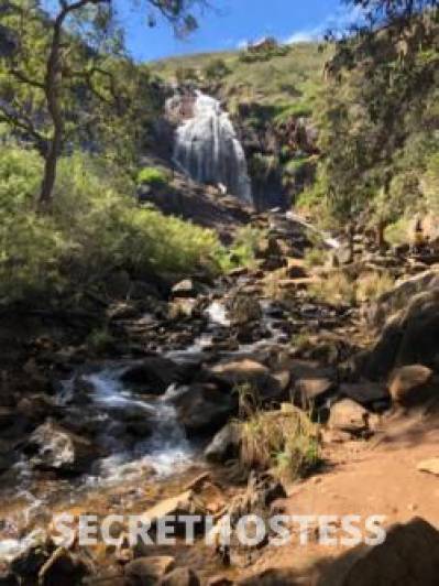 44 year old Escort in Northbridge Perth Male escort for females